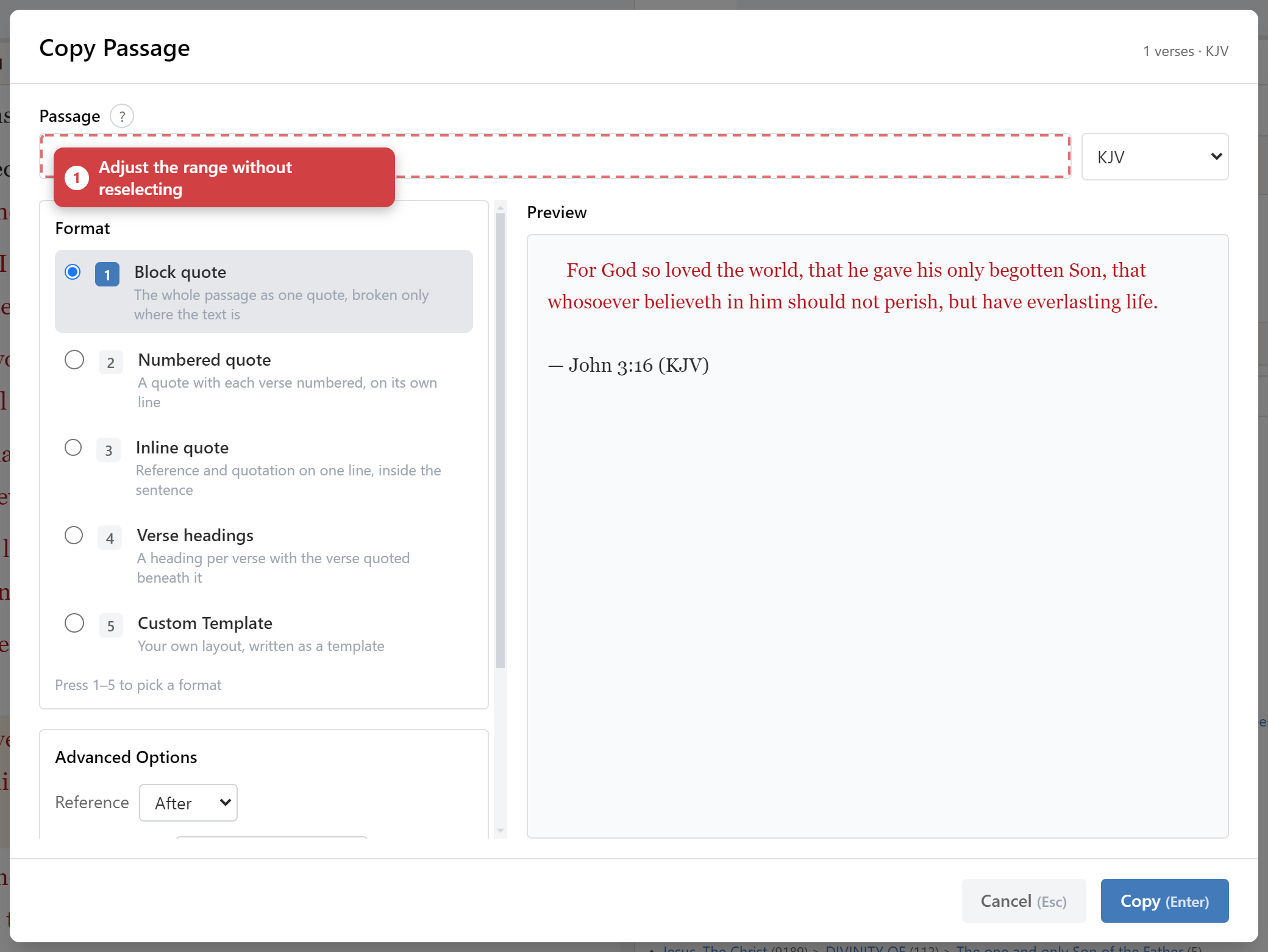 The copy dialog with its format options and the live preview of the result