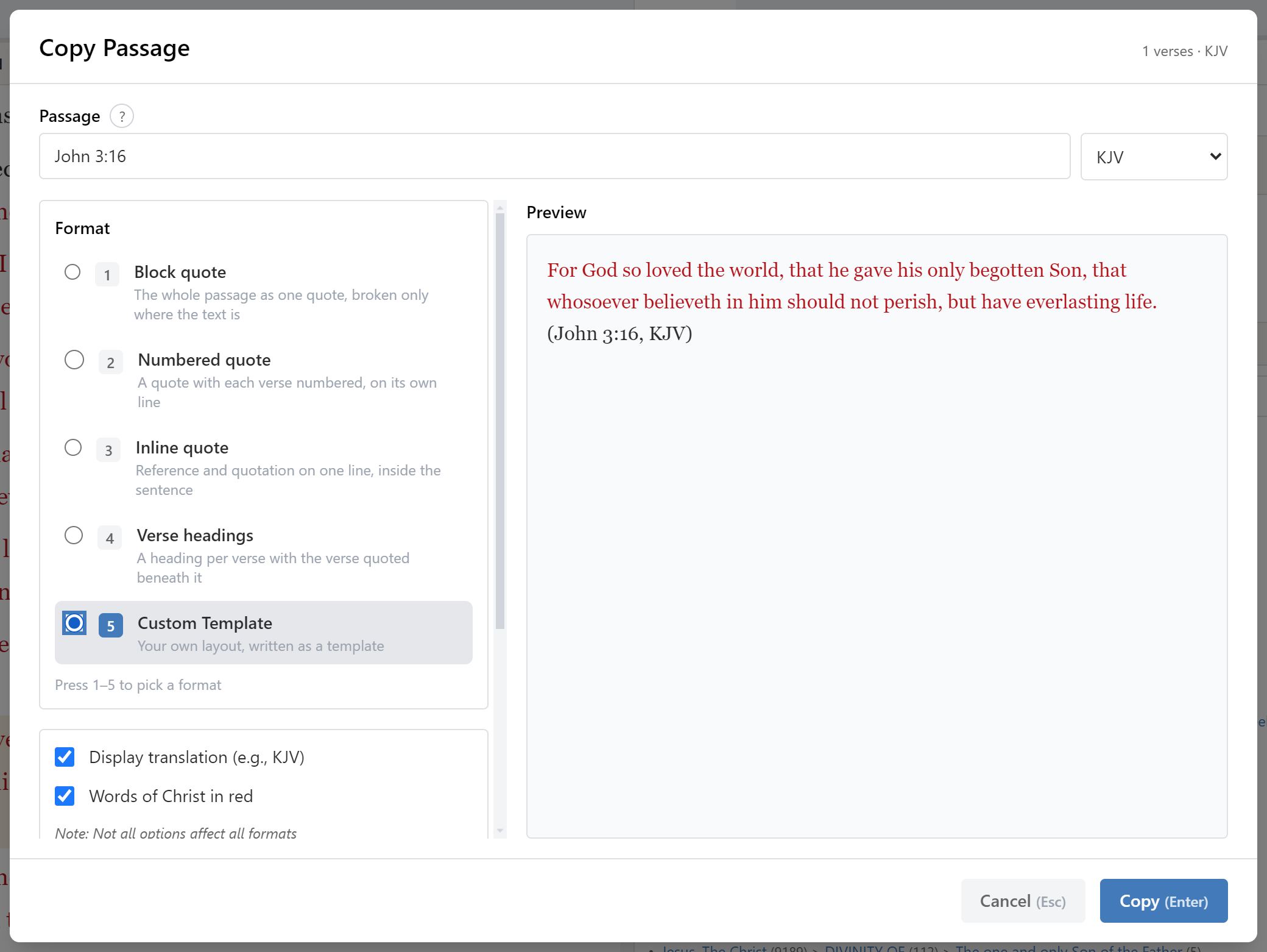The template editor, with a custom citation format being built