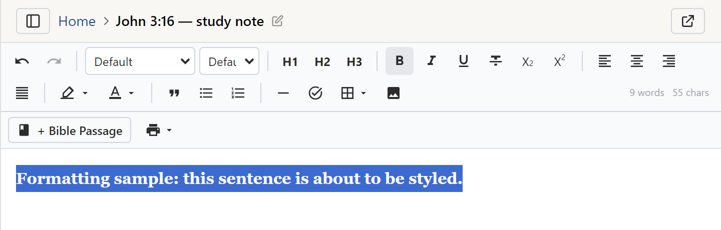The note editor’s formatting toolbar, with formatting applied to the text below it