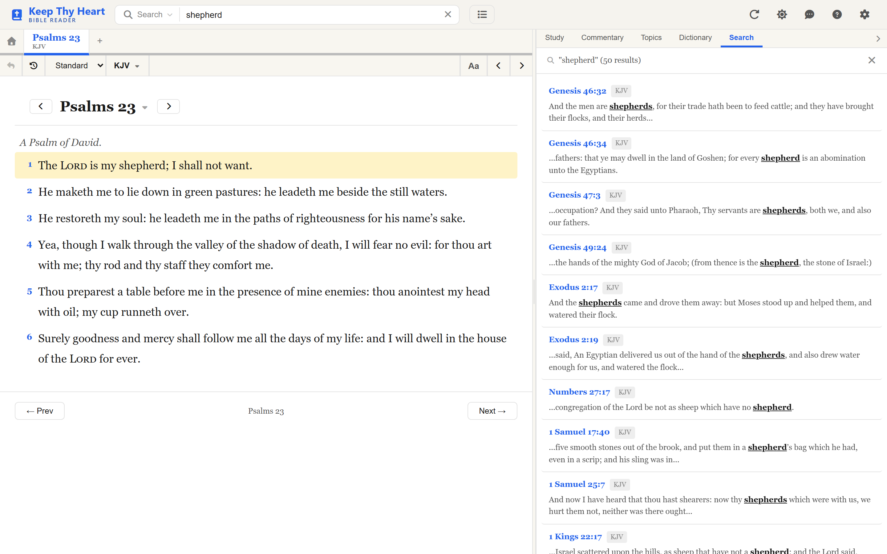 Standard Search results for a query, in the results panel beside the Bible text
