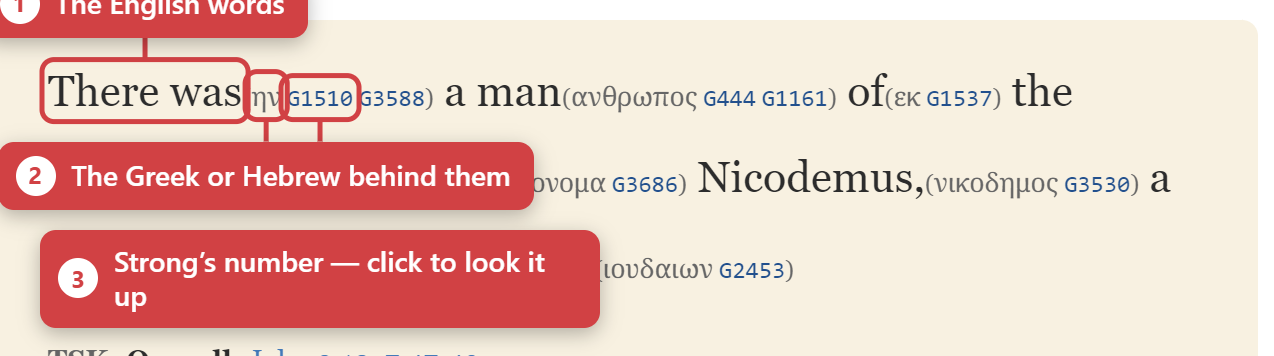 The interlinear stack for a single verse: original word, transliteration, Strong’s number, morphology